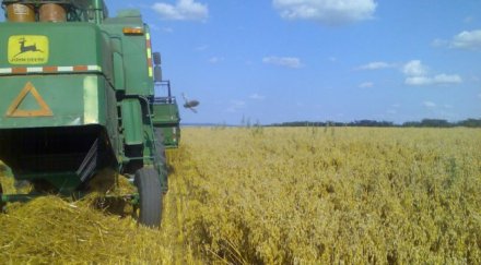 мъж открадна тона овес