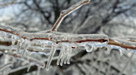 полярен мраз пет отрицателни рекорда сутрин