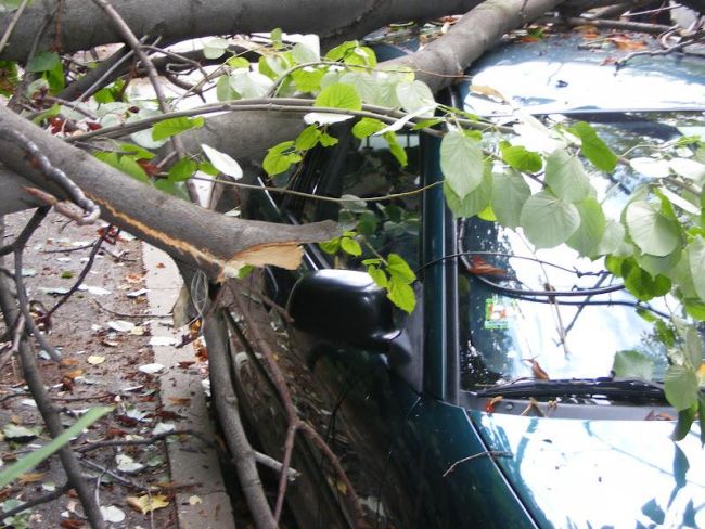 Шофьорка блъсна двете си деца в дърво