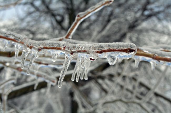 Полярен мраз! Пет отрицателни рекорда тази сутрин