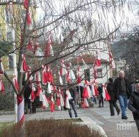 Баба Марта подрани, пристигна в Дупница с файтон