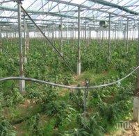 Разбиха нарколаборатория край Варна, арестуваха мъж и жена