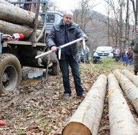 Наложиха мораториум върху износа на дървесина