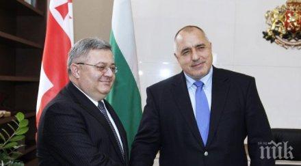 борисов посрещна делегация грузия
