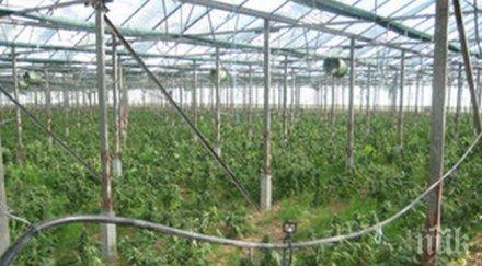 разбиха нарколаборатория варна арестуваха мъж жена