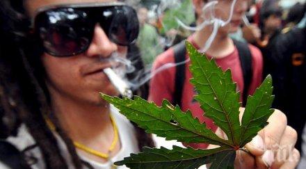 разрешават марихуаната вашингтон