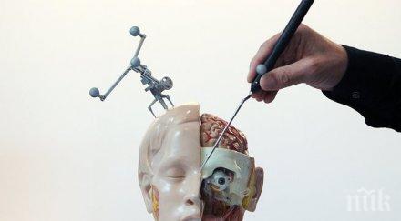 трансплантациите цяло тяло възможни години