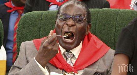 президентът зимбабве жена командва парада