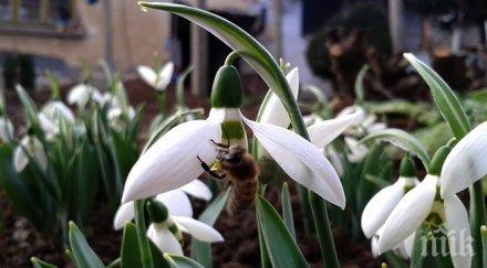 пролет зима редуват март