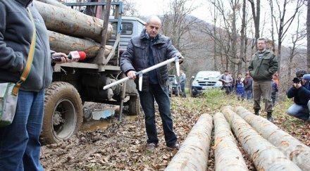 наложиха мораториум износа дървесина