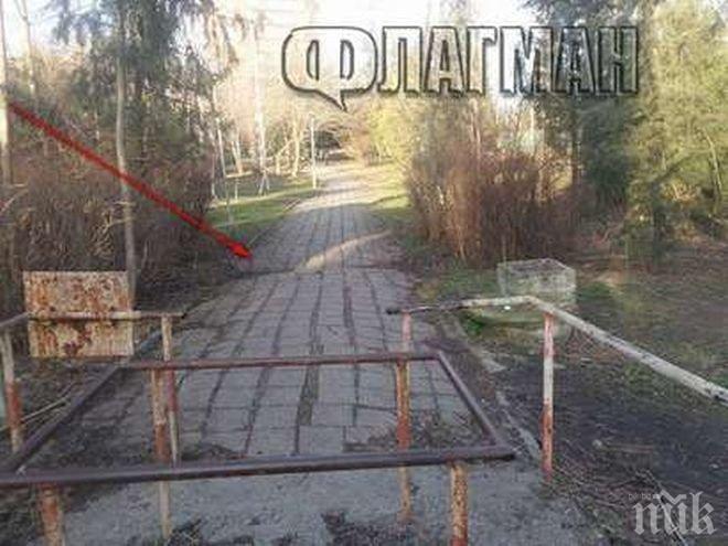 Трупът в Бургас бил силно разложен, една от версиите - заличаване на следи от убийство!