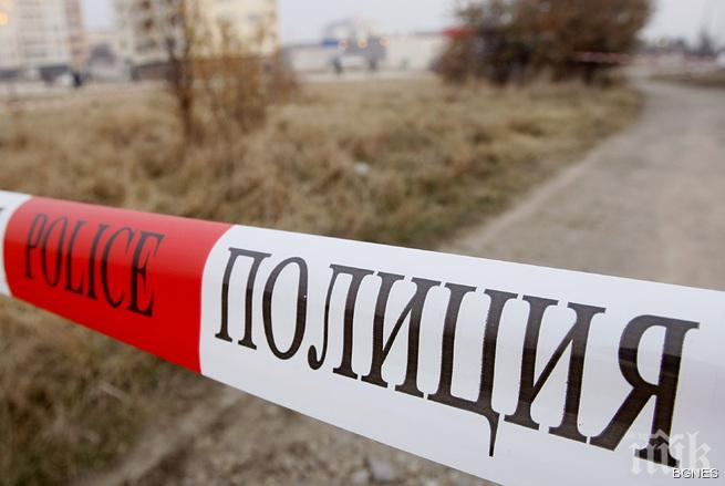 Чистачи намериха череп и кости в Морската градина в Бургас