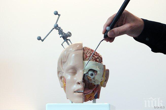 Трансплантациите на цяло тяло възможни до 2 години