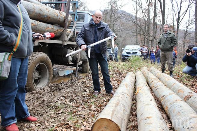 Наложиха мораториум върху износа на дървесина