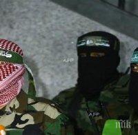 Египет призна 