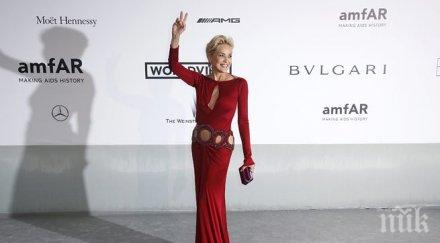 пиар агенция съди шарън стоун