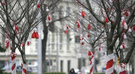 накичиха мартеници дърветата националната библиотека