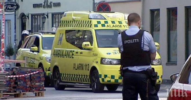 В Дания обвиниха трети предполагаем съучастник в двойната стрелба с Копенхаген
