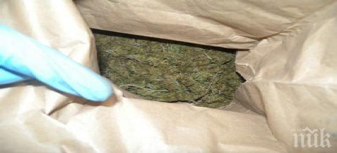 Арестуваха бургаски дилър с 6 кг марихуана! Скрил я в бидони и буркани (снимки)