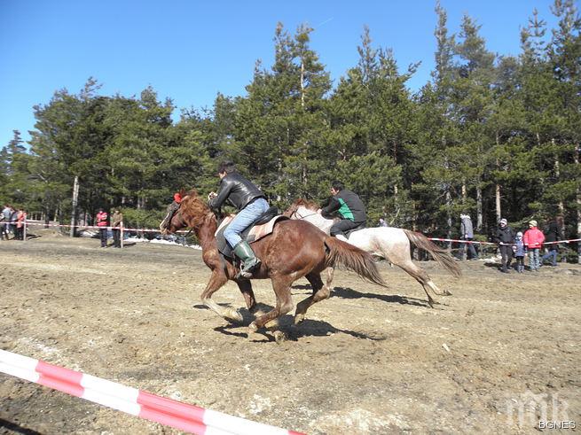 Кушията в Бенковски отново събра стотици граждани