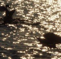 Слънчево, но ветровито