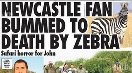 нелепа смърт зебра уби футболен запалянко изнервил екипът