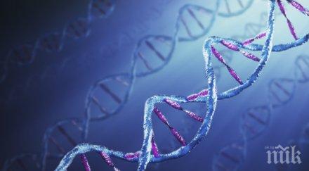 ключа лекуването всички болести