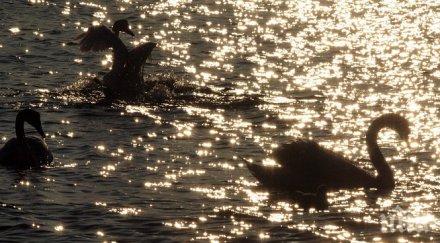 слънчево ветровито