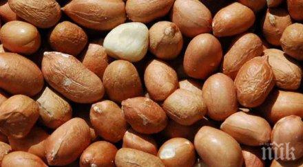 консумацията фъстъци намалява риска инфаркт