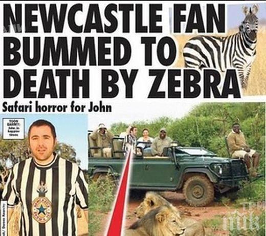 Нелепа смърт! Зебра уби футболен запалянко! Изнервил я екипът му