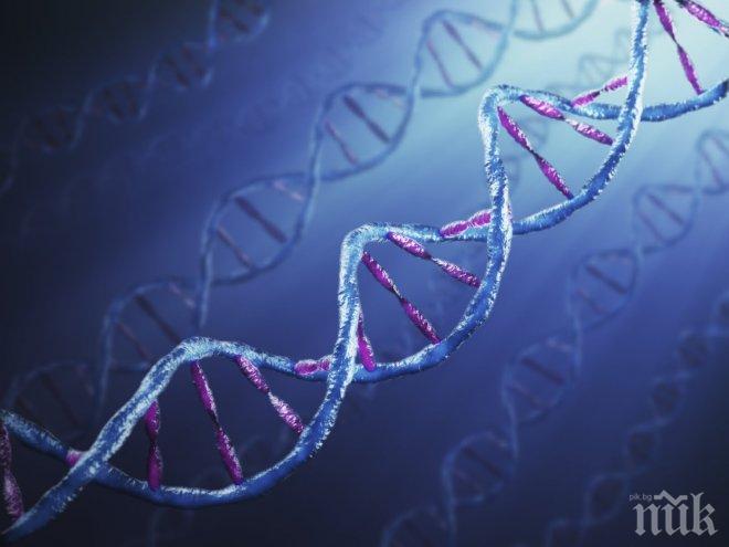 Ето го ключа към лекуването на всички болести!