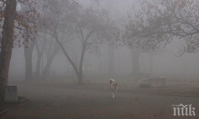 Намалена е видимостта поради мъгла в някои области на страната