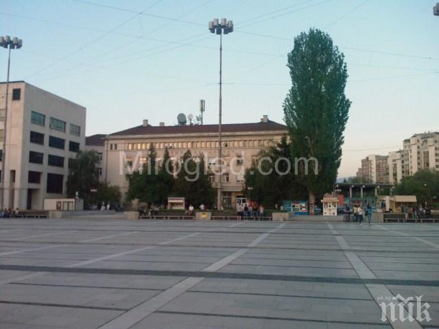 Обществени съвети заради скулпторите от площада в Перник