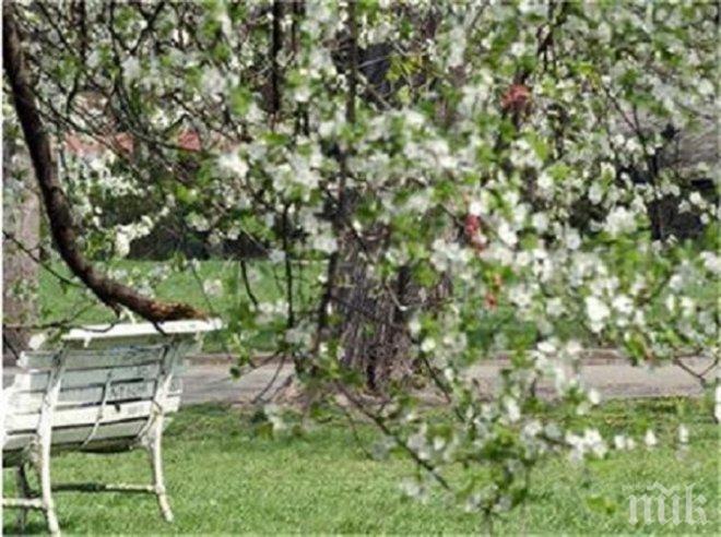 Живакът удари 17 градуса в Плевен 