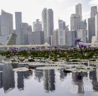 В Сингапур милионерите се множат най-бързо 
