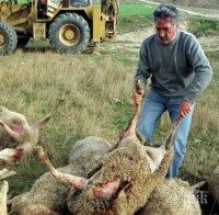 Ваксинацията на животни срещу 