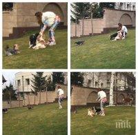 Мара Отварачката показа своя палат! Дом за милиони, покрай който минават каруци (снимки)