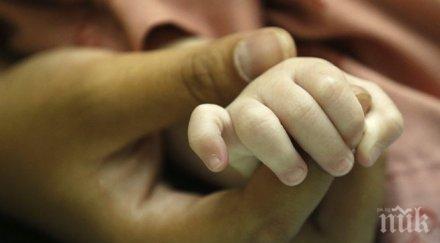 бащините гени важни майчините