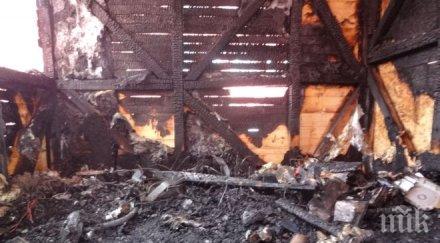 зелените талибани свалиха маската*