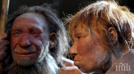 крьоманьонецът сразил неандерталеца помощта опитомени вълци