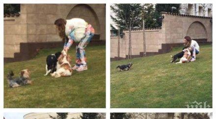 мара отварачката показа своя палат дом милиони покрай минават каруци снимки