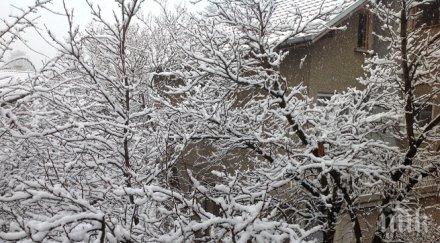 снеговалежи свлачища затрудняват трафика пътищата
