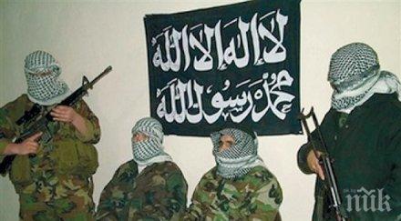 пакистанец признат виновен сащ тероризъм