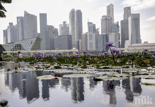 В Сингапур милионерите се множат най-бързо 