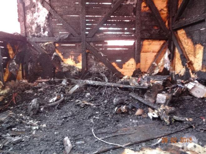 Зелените талибани свалиха маската*