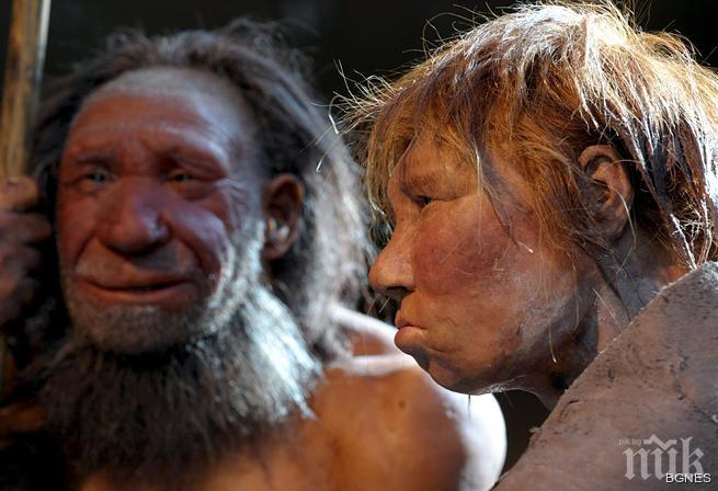 Крьоманьонецът сразил неандерталеца с помощта на опитомени вълци