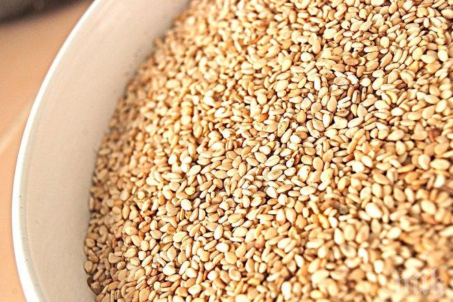 Три нови сорта български сусам създадоха родни учени