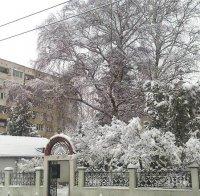 В Ардино е обявено бедствено положение