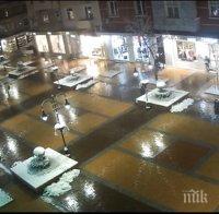 Отново разкрасяват бул. 