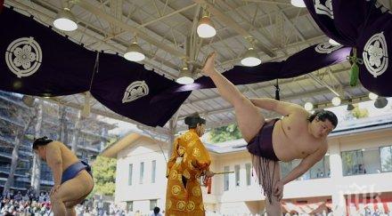 даниел иванов аоияма тръгва окиноуми осака